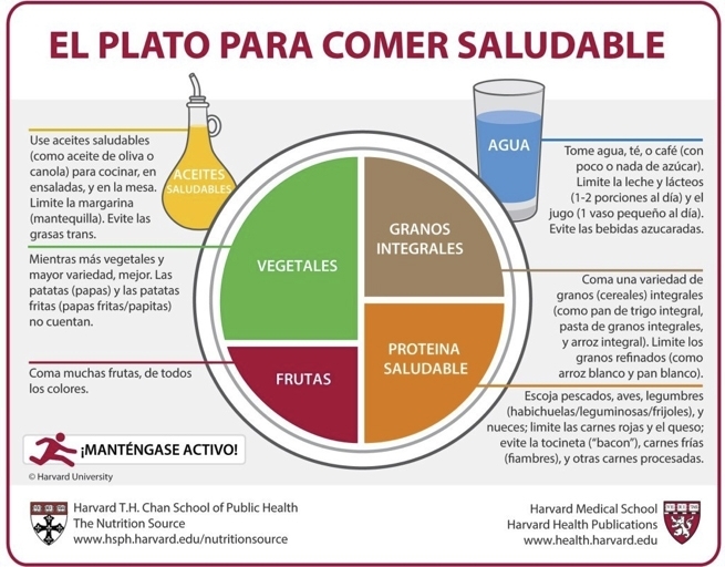 Nutrición en Lugo: Consejos y recomendaciones para mantenerse activo